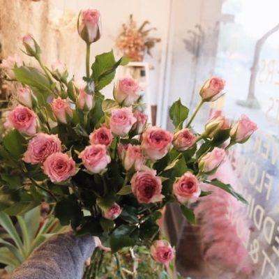 百姓彩票手机app下载